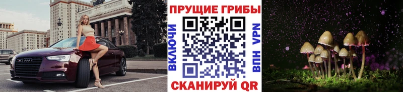 Купить  Лениногорск  Галлюциногенные грибы MAGIC MUSHROOMS 