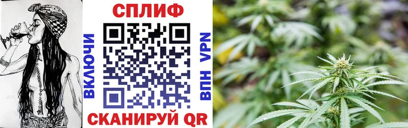 Канабис тримм  Купить где  Лениногорск 